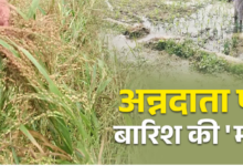 उत्तराखंड में बारिश से ‘अन्नदाताओं’ को भारी नुकसान, 41 हेक्टेयर फसल बर्बाद, रिपोर्ट ने बढ़ाई चिंता