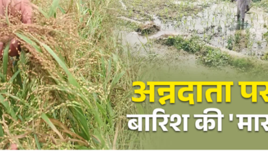 उत्तराखंड में बारिश से ‘अन्नदाताओं’ को भारी नुकसान, 41 हेक्टेयर फसल बर्बाद, रिपोर्ट ने बढ़ाई चिंता उत्तराखंड में बारिश से ‘अन्नदाताओं’ को भारी नुकसान, 41 हेक्टेयर फसल बर्बाद, रिपोर्ट ने बढ़ाई चिंता