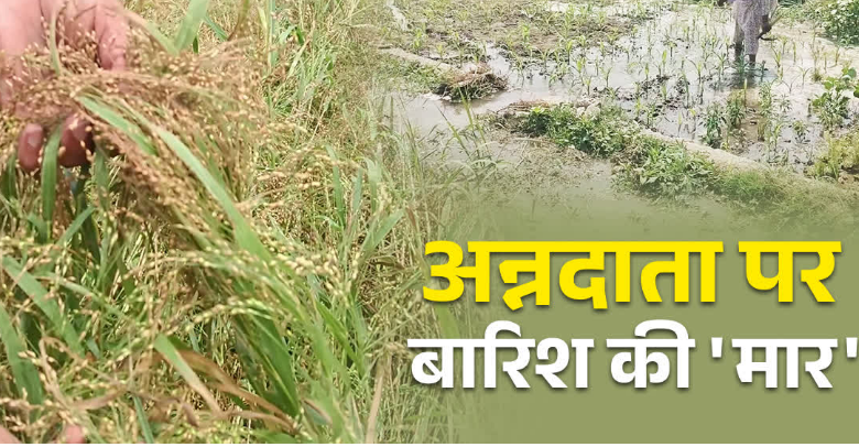 उत्तराखंड में बारिश से ‘अन्नदाताओं’ को भारी नुकसान, 41 हेक्टेयर फसल बर्बाद, रिपोर्ट ने बढ़ाई चिंता