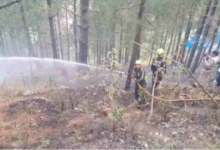 Chamoli: ग्वीलों गांव के जंगलों में भड़की आग, लोगों में मची अफरातफरी, एक घंटे की कड़ी मशक्कत के बाद बुझाई गई