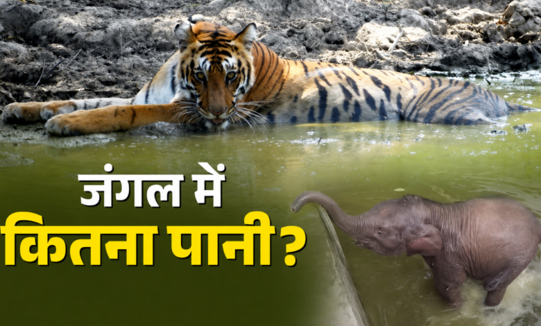उत्तराखंड के जंगलों में उपलब्ध पानी का पहली बार जुटाया गया डाटा, 3 साल में लबालब हुई जंगलों की वाटर बॉडी उत्तराखंड के जंगलों में उपलब्ध पानी का पहली बार जुटाया गया डाटा, 3 साल में लबालब हुई जंगलों की वाटर बॉडी