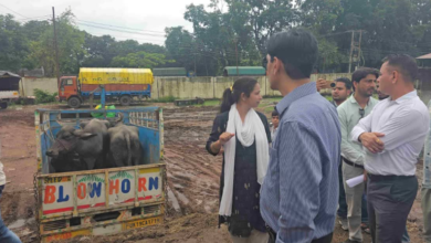 रामनगर नगर पालिका में कमिश्नर का छापा, गड़बड़ी पर भड़के दीपक रावत, कहा ये स्कैम है, डीएम को जांच सौंपी रामनगर नगर पालिका में कमिश्नर का छापा, गड़बड़ी पर भड़के दीपक रावत, कहा ये स्कैम है, डीएम को जांच सौंपी