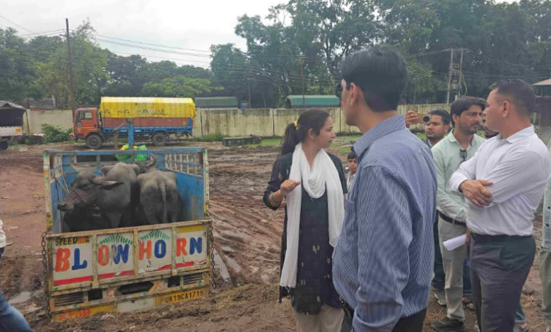 रामनगर नगर पालिका में कमिश्नर का छापा, गड़बड़ी पर भड़के दीपक रावत, कहा ये स्कैम है, डीएम को जांच सौंपी रामनगर नगर पालिका में कमिश्नर का छापा, गड़बड़ी पर भड़के दीपक रावत, कहा ये स्कैम है, डीएम को जांच सौंपी