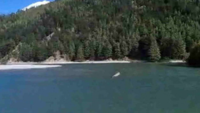 Uttarkashi: हर्षिल के समीप भागीरथी नदी में बनी झील का जलस्तर नौ माह बाद भी नहीं हुआ कम, बड़ी आपदा का खतरा