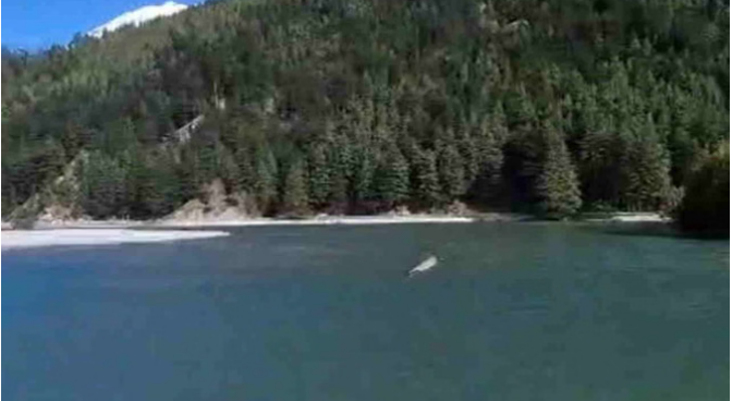 Uttarkashi: हर्षिल के समीप भागीरथी नदी में बनी झील का जलस्तर नौ माह बाद भी नहीं हुआ कम, बड़ी आपदा का खतरा