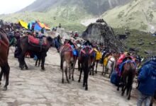 केदारनाथ यात्रा में ओवररेटिंग का बड़ा मामला उजागर, घोड़ा हॉकर्स पर पुलिस की सख्त कार्रवाई, लौटाए रुपए