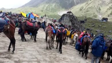 केदारनाथ यात्रा में ओवररेटिंग का बड़ा मामला उजागर, घोड़ा हॉकर्स पर पुलिस की सख्त कार्रवाई, लौटाए रुपए