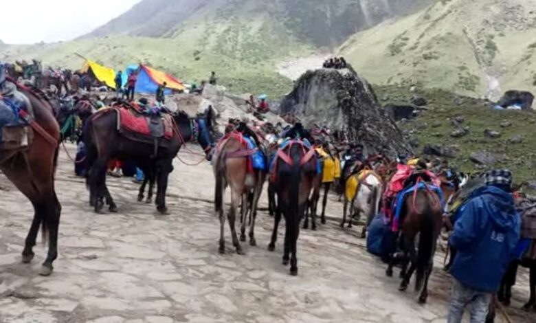 केदारनाथ यात्रा में ओवररेटिंग का बड़ा मामला उजागर, घोड़ा हॉकर्स पर पुलिस की सख्त कार्रवाई, लौटाए रुपए