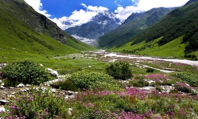 उत्तराखंड: एक जून से सैलानी कर सकेंगे वैली ऑफ फ्लावर का दीदार, तैयारियां तेज