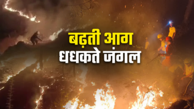 उत्तराखंड के जंगलों में आग का भयंकर तांडव, 3 महीने में 300 घटनाएं रिकार्ड, 239 हेक्टेयर वन क्षेत्र राख उत्तराखंड के जंगलों में आग का भयंकर तांडव, 3 महीने में 300 घटनाएं रिकार्ड, 239 हेक्टेयर वन क्षेत्र राख