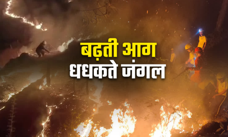 उत्तराखंड के जंगलों में आग का भयंकर तांडव, 3 महीने में 300 घटनाएं रिकार्ड, 239 हेक्टेयर वन क्षेत्र राख उत्तराखंड के जंगलों में आग का भयंकर तांडव, 3 महीने में 300 घटनाएं रिकार्ड, 239 हेक्टेयर वन क्षेत्र राख