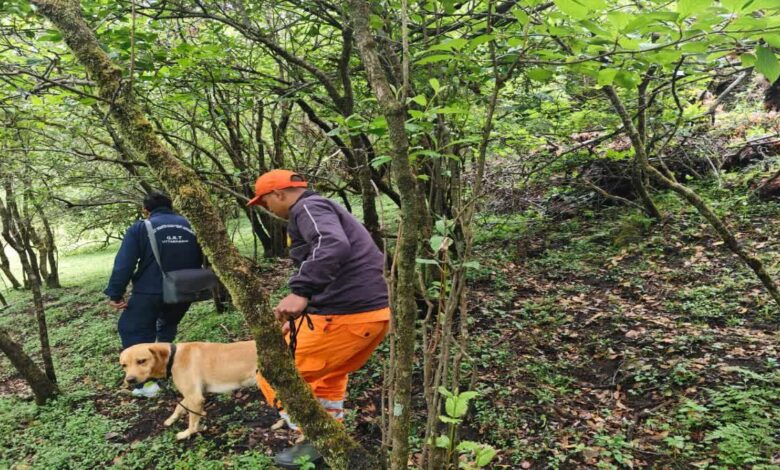 दयारा बुग्याल से महिला ट्रेकर लापता, चार दिन बाद भी नहीं लगा सुराग, ड्रोन और स्निफर डॉग्स से सर्च ऑपरेशन शुरू