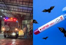 निपाह वायरस की पुष्टि होने पर स्वास्थ्य विभाग अलर्ट, हेल्थ मिनिस्टर ने बुलाई हाई-लेवल मीटिंग