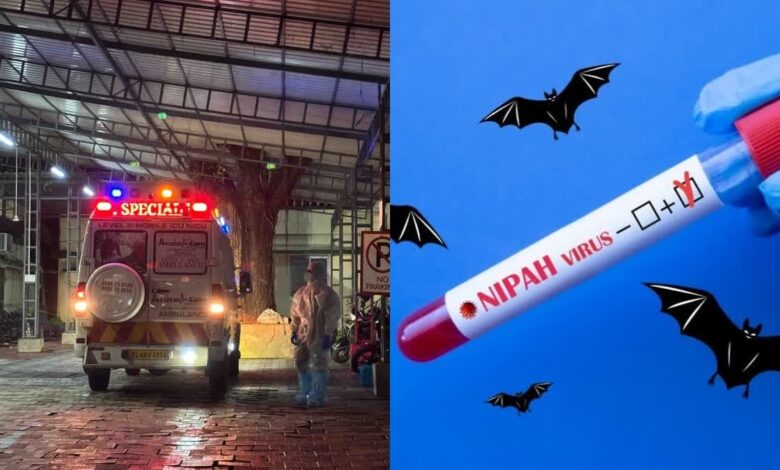 निपाह वायरस की पुष्टि होने पर स्वास्थ्य विभाग अलर्ट, हेल्थ मिनिस्टर ने बुलाई हाई-लेवल मीटिंग निपाह वायरस की पुष्टि होने पर स्वास्थ्य विभाग अलर्ट, हेल्थ मिनिस्टर ने बुलाई हाई-लेवल मीटिंग