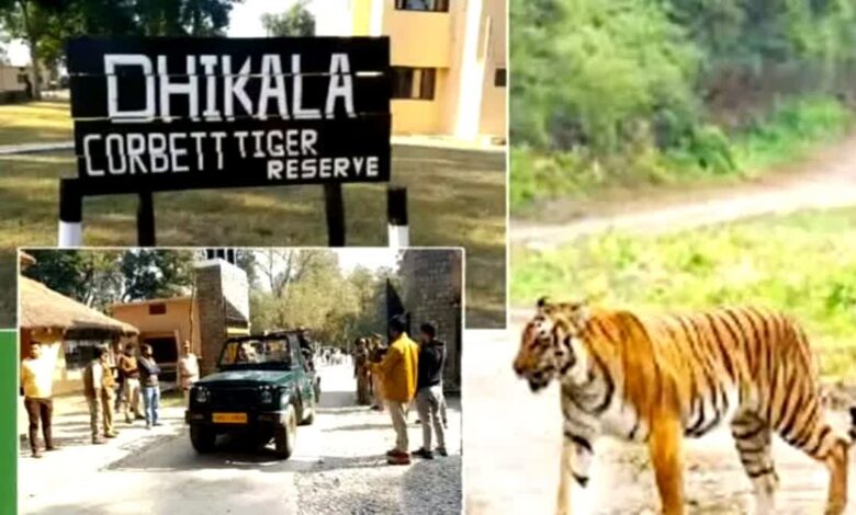 कॉर्बेट पार्क का ढिकाला जोन आज से पर्यटकों के लिए हुआ बंद, नाइट स्टे और पर्यटन गतिविधियों पर लगेगा विराम कॉर्बेट पार्क का ढिकाला जोन आज से पर्यटकों के लिए हुआ बंद, नाइट स्टे और पर्यटन गतिविधियों पर लगेगा विराम