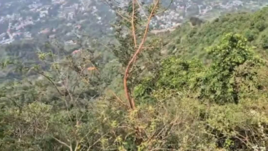 मसूरी में भीषण सड़क हादसा, सैकड़ों मीटर गहरी दुर्गम खाई में गिरी कार, चार लोग बताए जा रहे सवार