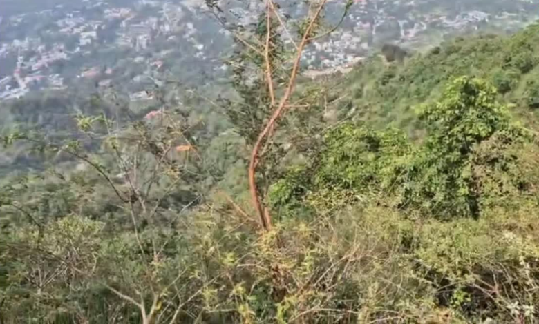 मसूरी में भीषण सड़क हादसा, सैकड़ों मीटर गहरी दुर्गम खाई में गिरी कार, चार लोग बताए जा रहे सवार