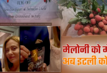 पहली बार इटली एक्सपोर्ट हुई उत्तराखंड की लीची, मेलोडी के बाद देहरादून का फल घोलेगा मिठास