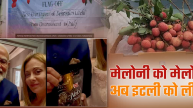 पहली बार इटली एक्सपोर्ट हुई उत्तराखंड की लीची, मेलोडी के बाद देहरादून का फल घोलेगा मिठास