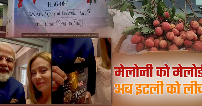 पहली बार इटली एक्सपोर्ट हुई उत्तराखंड की लीची, मेलोडी के बाद देहरादून का फल घोलेगा मिठास पहली बार इटली एक्सपोर्ट हुई उत्तराखंड की लीची, मेलोडी के बाद देहरादून का फल घोलेगा मिठास