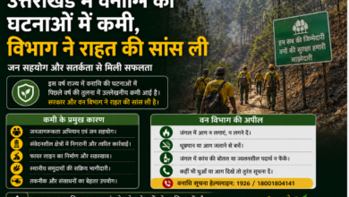 उत्तराखंड में वनाग्नि की घटनाओं में कमी, विभाग ने राहत की सांस ली
