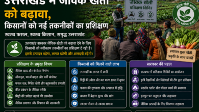 उत्तराखंड में जैविक खेती को बढ़ावा, किसानों को नई तकनीकों का प्रशिक्षण