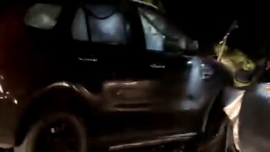 भीषण सड़क हादसा: भैंस से टकराने के बाद कार स्कॉर्पियो से भिड़ी, एक की दर्दनाक मौत, 3 घायल