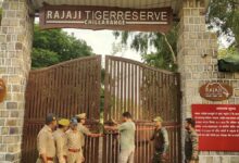 वाइल्डलाइफ बोर्ड से मंजूरी मिलते ही रेलवे ट्रैक बनेगा सुरक्षित, ट्रायल में पास हुआ AI सिस्टम