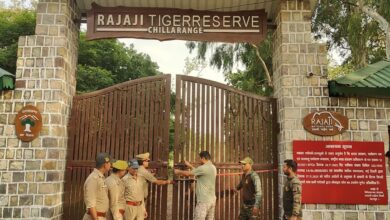 वाइल्डलाइफ बोर्ड से मंजूरी मिलते ही रेलवे ट्रैक बनेगा सुरक्षित, ट्रायल में पास हुआ AI सिस्टम