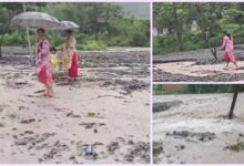 उत्तराखंड में बारिश का तांडव: उफान पर नदियां और गदेरे, डोईवाला में बहा पुल, कई गांवों का संपर्क बाधित