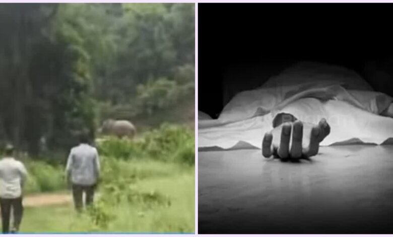 श्यामपुर रेंज में हाथी का तांडव, ग्रामीण को पटक-पटककर मारा, खौफजदा लोग श्यामपुर रेंज में हाथी का तांडव, ग्रामीण को पटक-पटककर मारा, खौफजदा लोग