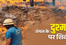 उत्तराखंड में जंगल के दुश्मनों पर ताबड़तोड़ कार्रवाई, चार महीने में 166 मामले दर्ज, आप न करें ये गलती