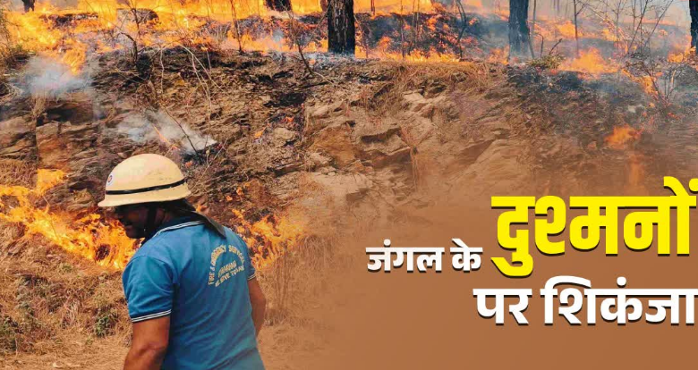 उत्तराखंड में जंगल के दुश्मनों पर ताबड़तोड़ कार्रवाई, चार महीने में 166 मामले दर्ज, आप न करें ये गलती उत्तराखंड में जंगल के दुश्मनों पर ताबड़तोड़ कार्रवाई, चार महीने में 166 मामले दर्ज, आप न करें ये गलती