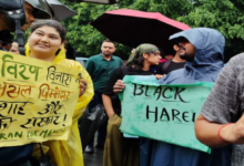 उत्तराखंड में हरेला पर्व से पहले चर्चाओं में ‘Black Harela’ अभियान, पेड़ कटान पर फूटा युवाओं का गुस्सा उत्तराखंड में हरेला पर्व से पहले चर्चाओं में ‘Black Harela’ अभियान, पेड़ कटान पर फूटा युवाओं का गुस्सा