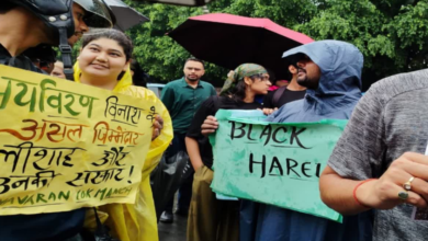 उत्तराखंड में हरेला पर्व से पहले चर्चाओं में ‘Black Harela’ अभियान, पेड़ कटान पर फूटा युवाओं का गुस्सा