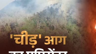 वन विभाग के नए अध्ययन ने खोला जंगलों में आग का राज, चीड़ बना सबसे बड़ा फायर हॉटस्पॉट, मिश्रित वन पर भी संकट वन विभाग के नए अध्ययन ने खोला जंगलों में आग का राज, चीड़ बना सबसे बड़ा फायर हॉटस्पॉट, मिश्रित वन पर भी संकट