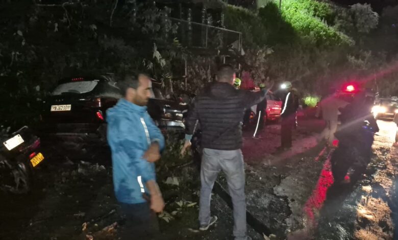 बारिश: उत्तराखंड पर अगले 48 घंटे भारी, मसूरी में 100 साल पुराना पेड़ गिरा, उत्तरकाशी में भी आफत, कई जिलों में स्कूलों की छुट्टी