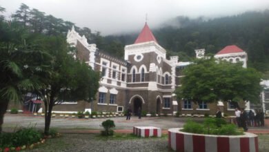 हाईकोर्ट से वन विभाग के दो सबसे बड़े अफसरों को अवमानना नोटिस, जानें क्या है ‘समान कार्य समान वेतन’ का मामला