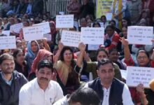 कैबिनेट में VDA निर्णय का उपनल कर्मचारियों ने किया विरोध, खोला मोर्चा, पढ़ें पूरी खबर
