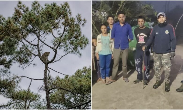 उत्तराखंड में पेड़ पर बैठा दिखा तेंदुआ, ग्रामीणों में दहशत, वन विभाग ने बढ़ाई गश्त उत्तराखंड में पेड़ पर बैठा दिखा तेंदुआ, ग्रामीणों में दहशत, वन विभाग ने बढ़ाई गश्त