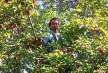 उत्तराखंड में फल और सब्जी उत्पादकों को मिलेगा आधुनिक कोल्ड स्टोरेज का लाभ, किसानों की आय बढ़ाने की दिशा में बड़ी पहल