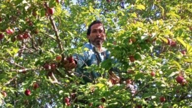उत्तराखंड में फल और सब्जी उत्पादकों को मिलेगा आधुनिक कोल्ड स्टोरेज का लाभ, किसानों की आय बढ़ाने की दिशा में बड़ी पहल उत्तराखंड में फल और सब्जी उत्पादकों को मिलेगा आधुनिक कोल्ड स्टोरेज का लाभ, किसानों की आय बढ़ाने की दिशा में बड़ी पहल