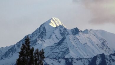 हिमालयी बदलावों का अध्ययन करने को जुटाए जा रहे आंकड़े, वैज्ञानिकों संग मंथन