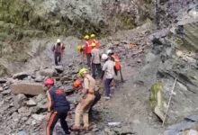 चीरबासा में थमा केदारनाथ पैदल मार्ग, सोनप्रयाग में रोके गए श्रद्धालु