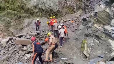 चीरबासा में थमा केदारनाथ पैदल मार्ग, सोनप्रयाग में रोके गए श्रद्धालु