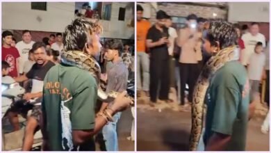 गले में अजगर डालकर सड़कों पर घूमा युवक, पोस्टमार्टम हाउस में घुसा तो मची अफरा-तफरी, जांच में जुटा वन विभाग