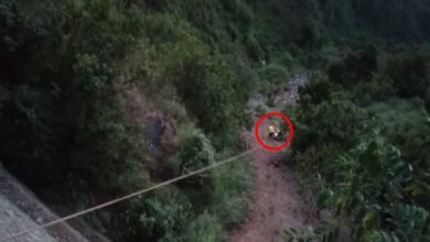 विकासनगर के त्यूणी में भीषण हादसा, 300 मीटर गहरी खाई में गिरी कार, 1 की मौत, दो लोग घायल
