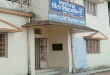 अल्मोड़ा में UTET के फर्जी प्रमाणपत्र से बने शिक्षक, 3 आरोपियों की सेवाएं समाप्त, पुलिस ने शुरू की जांच