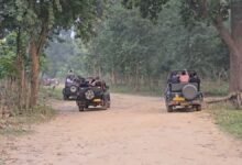 15 नवंबर से खुलेगा ढिकाला पर्यटन जोन, 21 दिसंबर तक बुकिंग फुल, पर्यटकों में जबरदस्त क्रेज