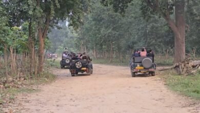 15 नवंबर से खुलेगा ढिकाला पर्यटन जोन, 21 दिसंबर तक बुकिंग फुल, पर्यटकों में जबरदस्त क्रेज